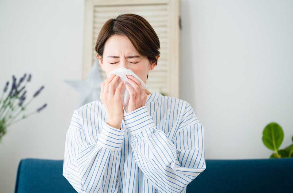 花粉症シーズンの必需品!空気清浄機が対策に効果的な理由と徹底紹介