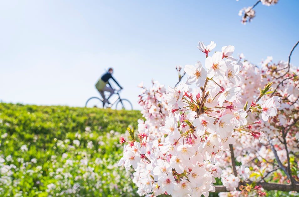 春の花粉症のピーク時期は?つらい季節に備える空気環境の整え方