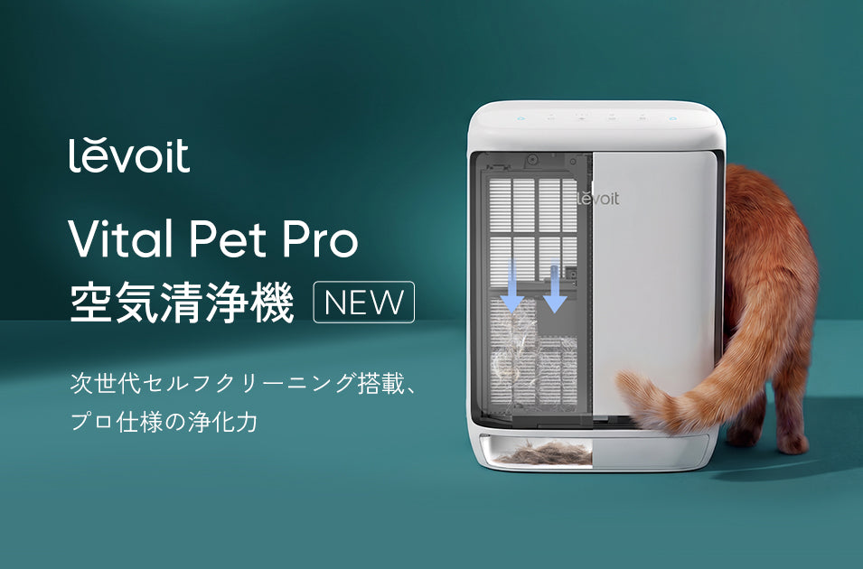 Levoit Vital Pet Pro新発売!毛・ニオイ自動ケア