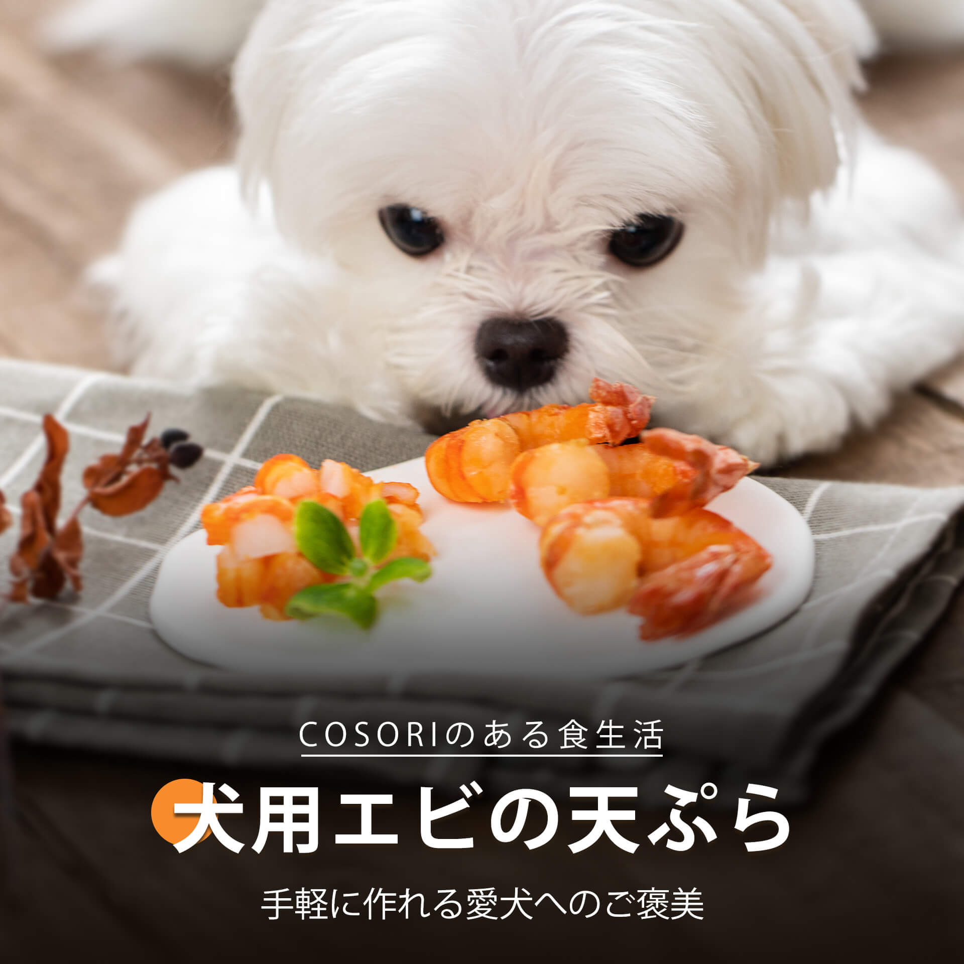 犬用エビの天ぷら