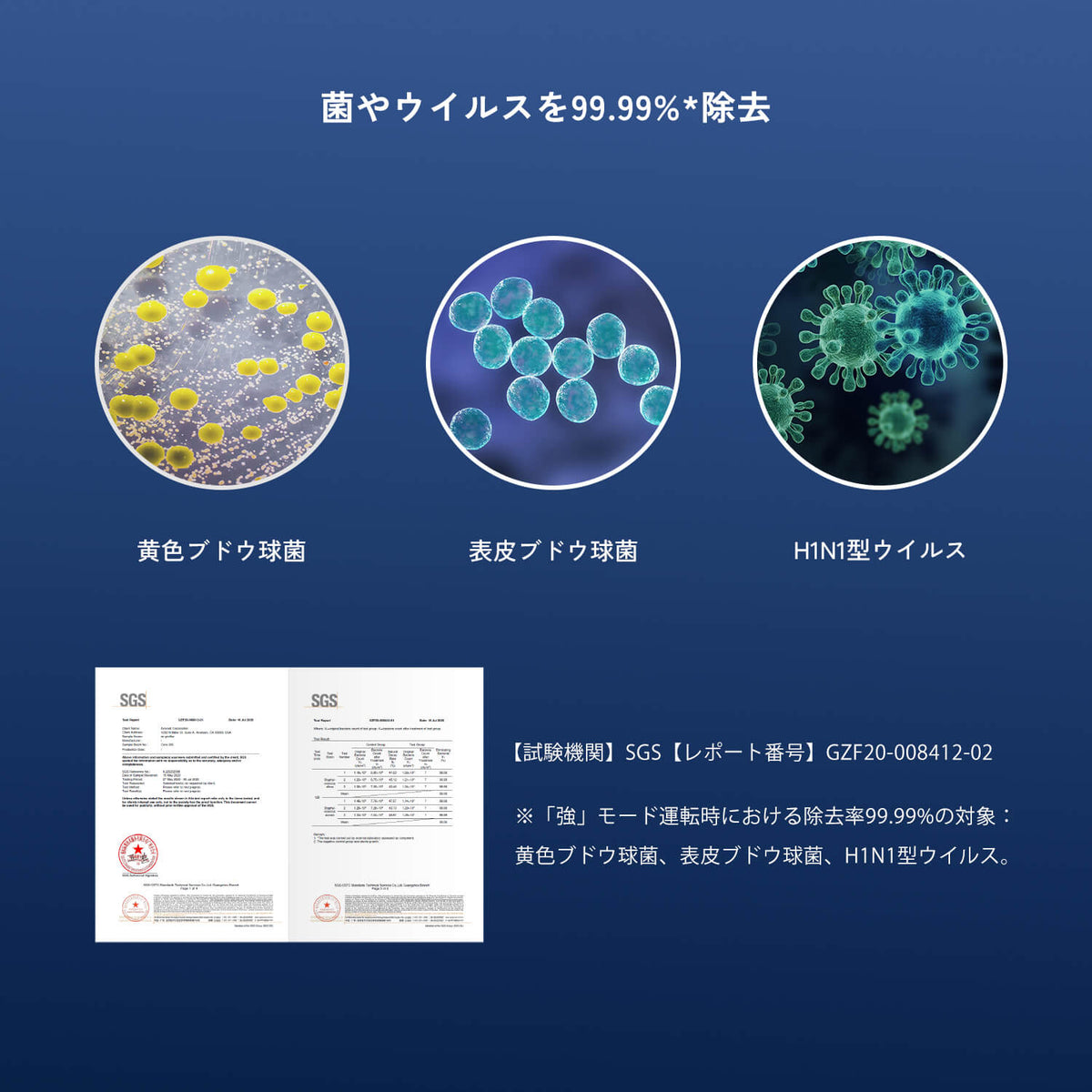 Levoit Core 300 空気清浄機